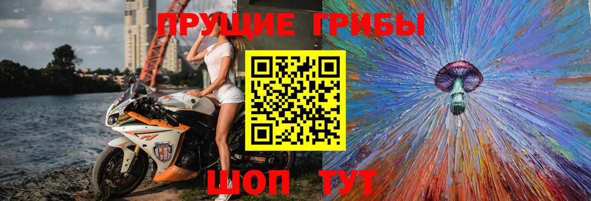даркнет сайт  Вход с VPN  Лесной  Псилоцибиновые грибы Cubensis  Псилоцибиновые грибы Psilocybe 