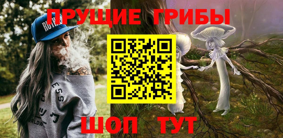 Галлюциногенные грибы ЛСД Лесной